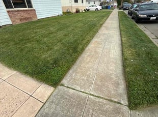 Harriet W.'s grass cutting service result