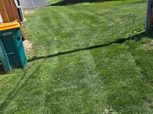 Natalie P.'s lawn maintenance service result