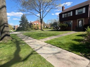 Carlos O.'s yard work service result