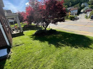 Lady G.'s lawn service service result