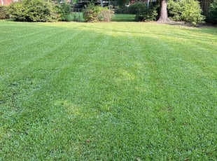 Aaron T.'s grass maintenance service result