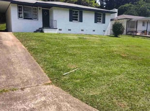 Laurie F.'s turf care service result