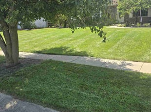Lachae S.'s grass maintenance service result