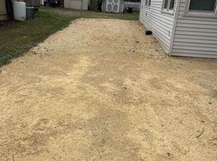 Dinesh D.'s Leaf Removal service result