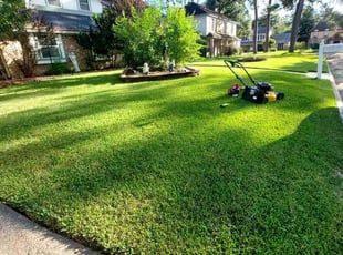 Mickey W.'s grass maintenance service result