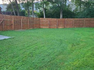 Nina G.'s lawn care services service result