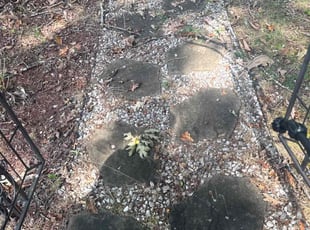 Santresa W.'s Flower Bed Weeding service result