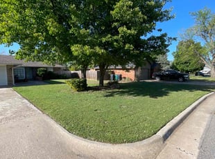 Ritz C.'s lawn maintenance service result