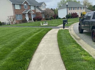 Saba C.'s lawn maintenance service result