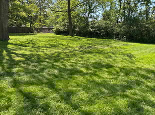 Patricia R.'s Cleanups service result