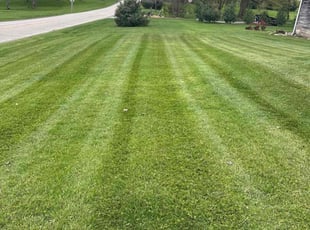 Taylor B.'s lawn care service result