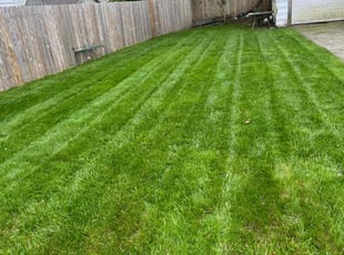 Joyce H.'s turf maintenance service result