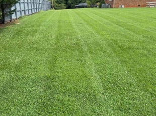Rodrigo V.'s grass maintenance service result
