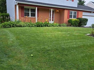 Nancy B.'s residential landscaping service result
