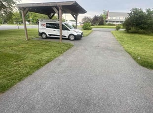 Alex S.'s Long Grass Cleanup service result