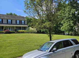 Jemps S.'s lawn service service result