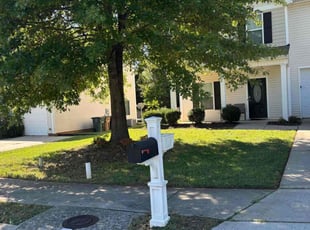 Kevin K.'s grass maintenance service result