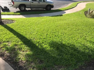 Cedric R.'s grass maintenance service result