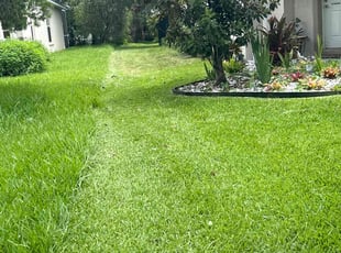Brian L.'s Long Grass Cleanup service result