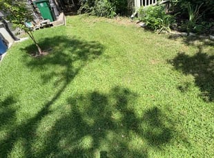 Natasha L.'s lawn care service result