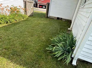 Amy C.'s lawn maintenance service result