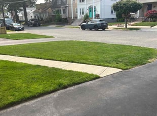 Reuben L.'s lawn maintenance service result