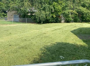 Laura B.'s grass cutting service result