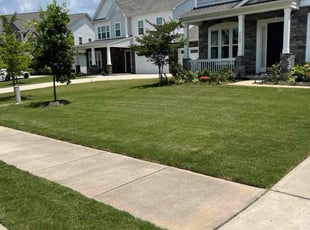 Anita C.'s turf maintenance service result