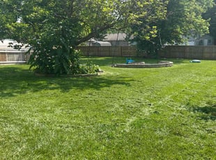 Montre D.'s lawn maintenance service result