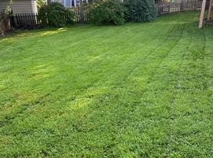 Jon E.'s lawn service service result