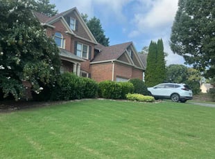 Michael H.'s grass cutting service result