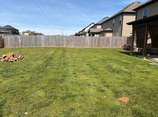 Dorinda Y.'s turf care service result