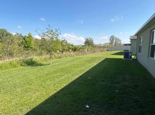 Christopher D.'s turf care service result