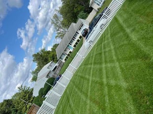 Bob C.'s turf care service result