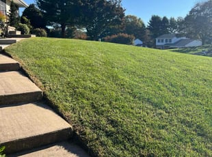 Renae O.'s lawn care services service result