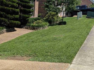 Jenee W.'s lawn service service result