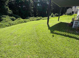 Michael S.'s grass cutting service result