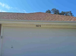 Lauren B.'s grass maintenance service result