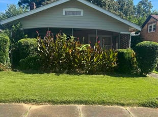 Alberto S.'s Bush Trimming service result