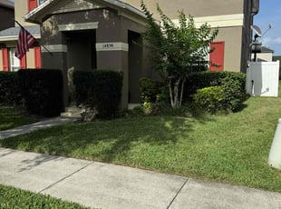 Bronwyn M.'s Bush Trimming service result