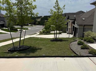 Javier M.'s turf maintenance service result
