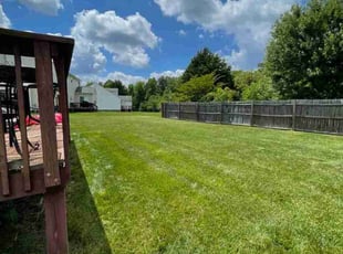 Eileen W.'s grass cutting service result