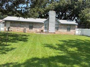 Lou C.'s turf care service result