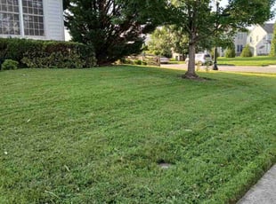 Inigo M.'s lawn maintenance service result