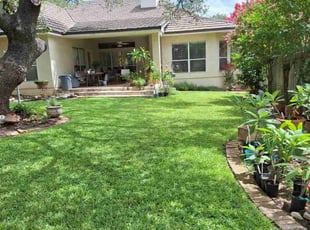 Vinnie R.'s lawn maintenance service result