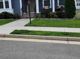Billy H.'s lawn care service result