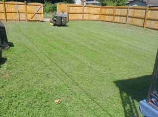 Taylor P.'s lawn maintenance service result
