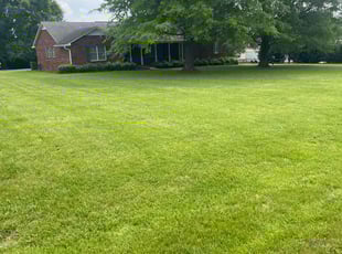 Jennifer B.'s lawn service service result