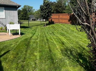 Courtney S.'s lawn care service result
