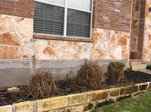 Alicia S.'s Bush Trimming service result